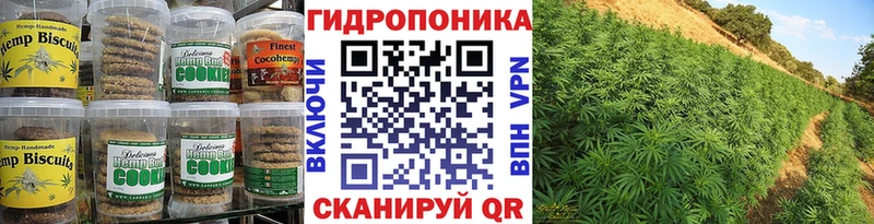 OMG зеркало  Вилючинск  Еда ТГК марихуана 