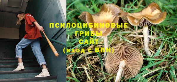 дурь Алексеевка