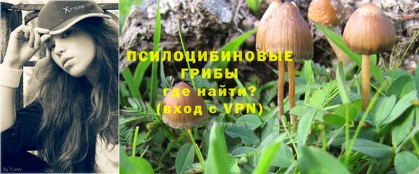 дурь Алексеевка