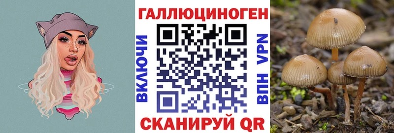 цена наркотик  Вилючинск  Галлюциногенные грибы мухоморы 